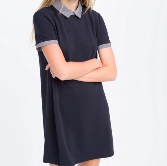 Zara Dresses & Skirts - Zara Navy Shift Dress with Striped Collar Size Small